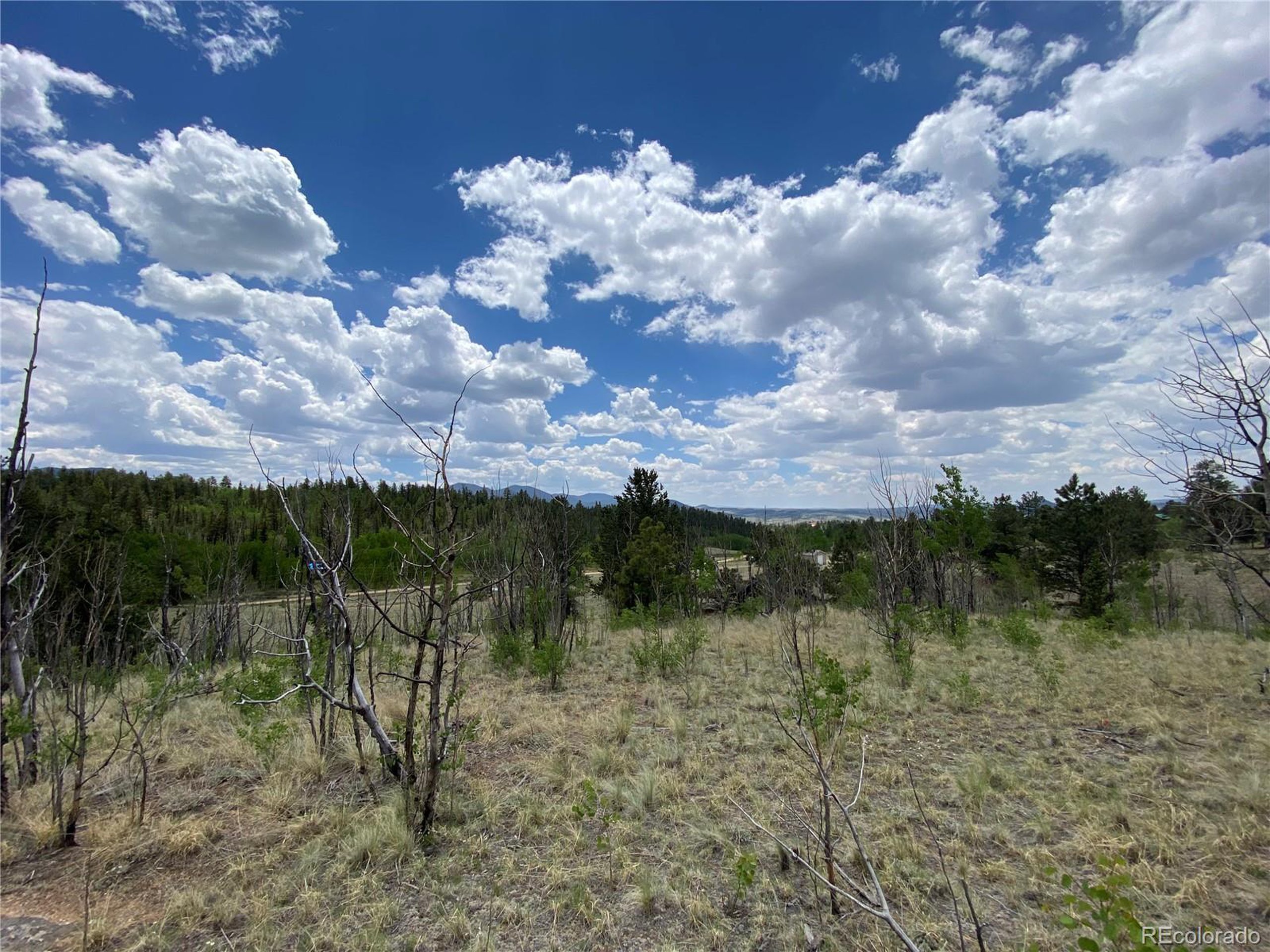 0 Al Gulch Road Jefferson, CO 80456 - Photo 6 of 16 a view of a lake in middle of the forest
