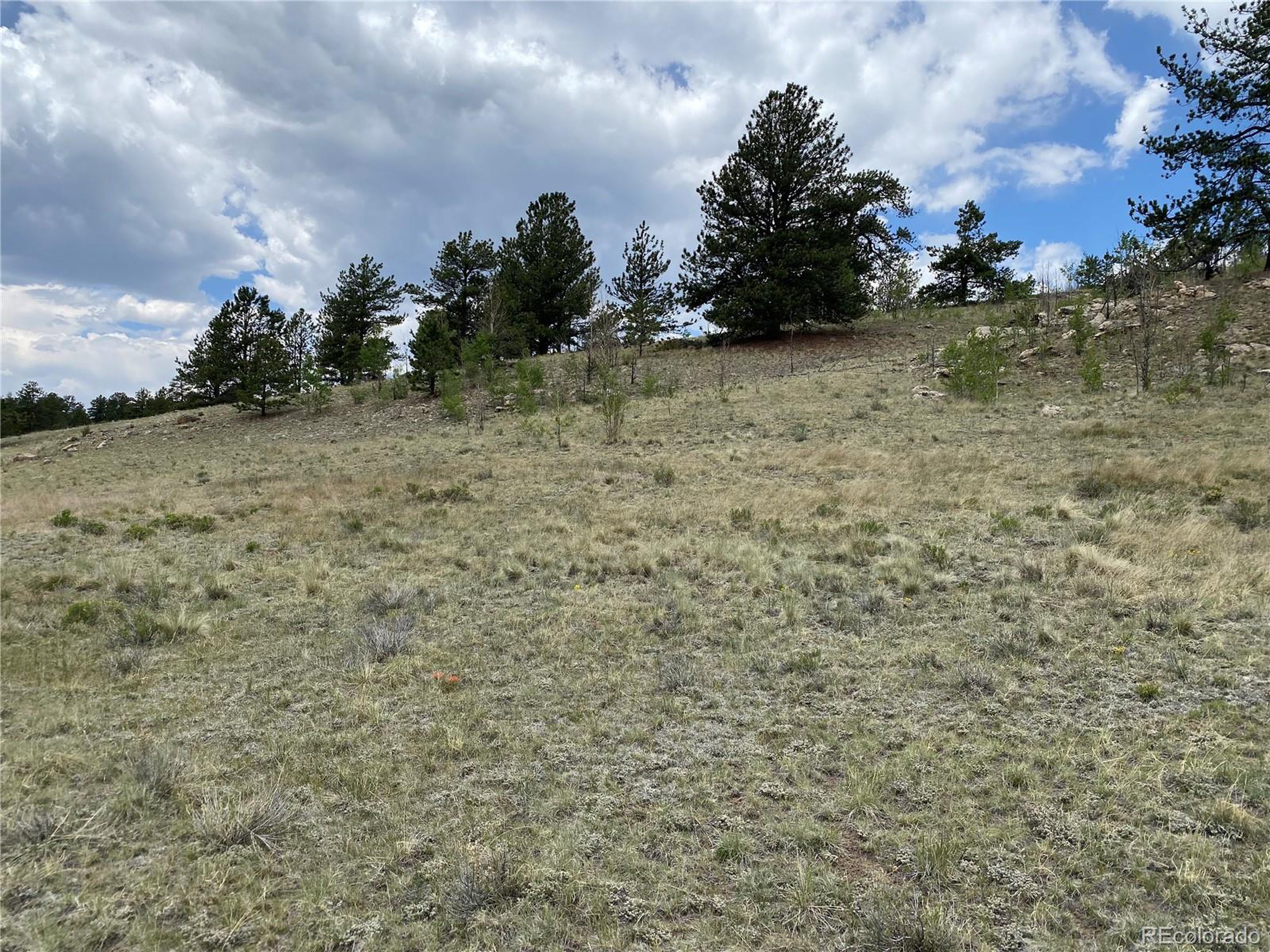 0 Al Gulch Road Jefferson, CO 80456 - Photo 7 of 16 a view of a dry yard with wooden fence