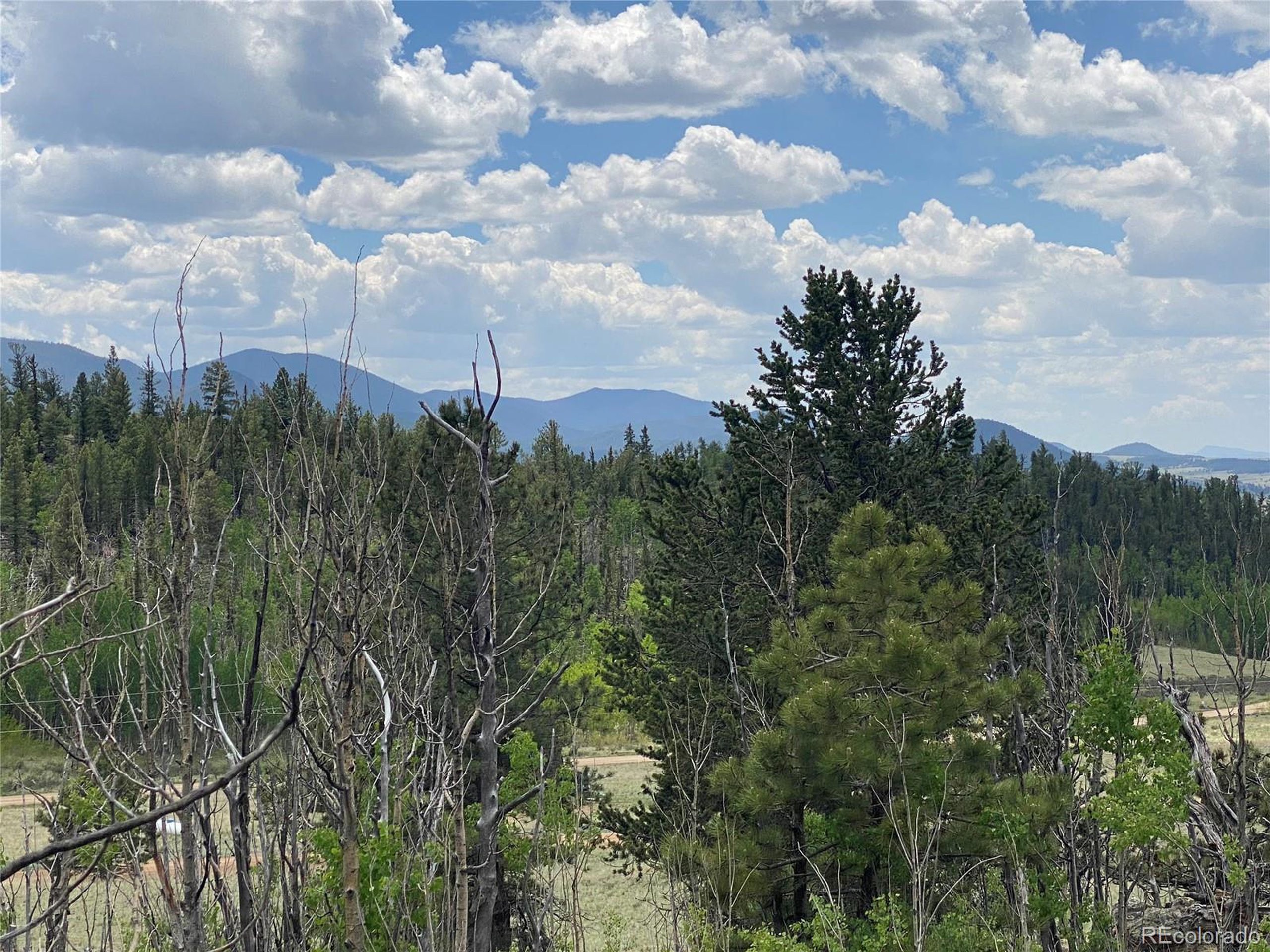 0 Al Gulch Road Jefferson, CO 80456 - Photo 9 of 16 a view of a city with lush green forest