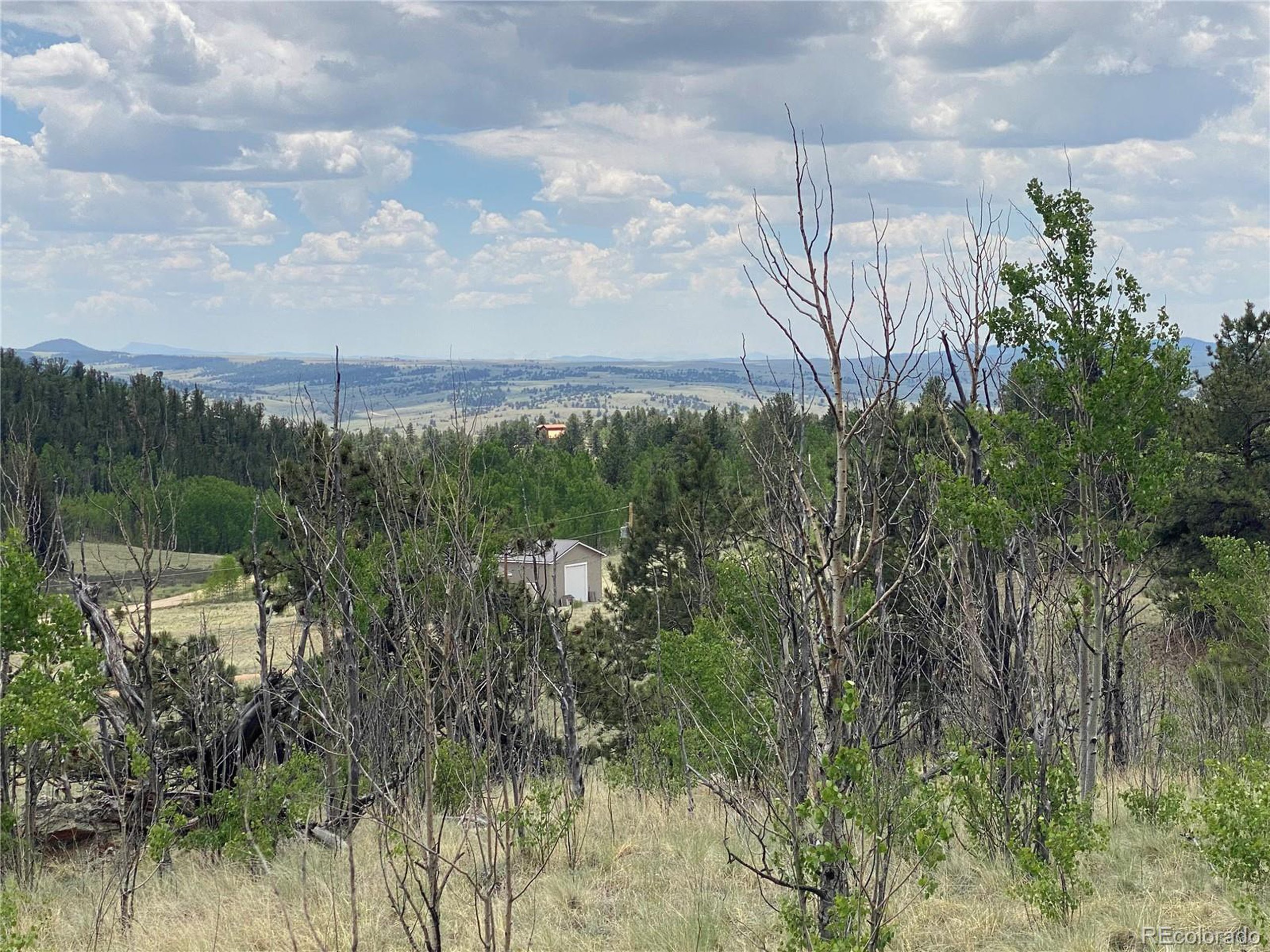 0 Al Gulch Road Jefferson, CO 80456 - Photo 10 of 16 a view of a yard