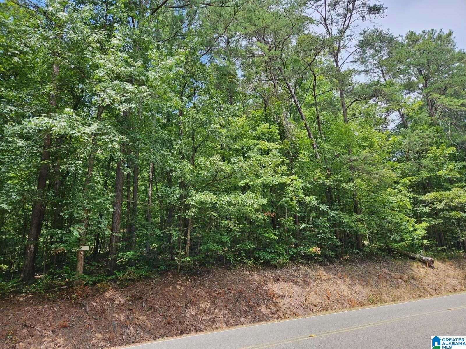 4464 Shady Grove Road, Unit LOT 19 Gardendale, AL 35071 - Photo 3 of 3