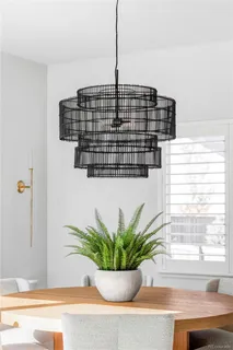 a view of a potted plant sitting on a floor