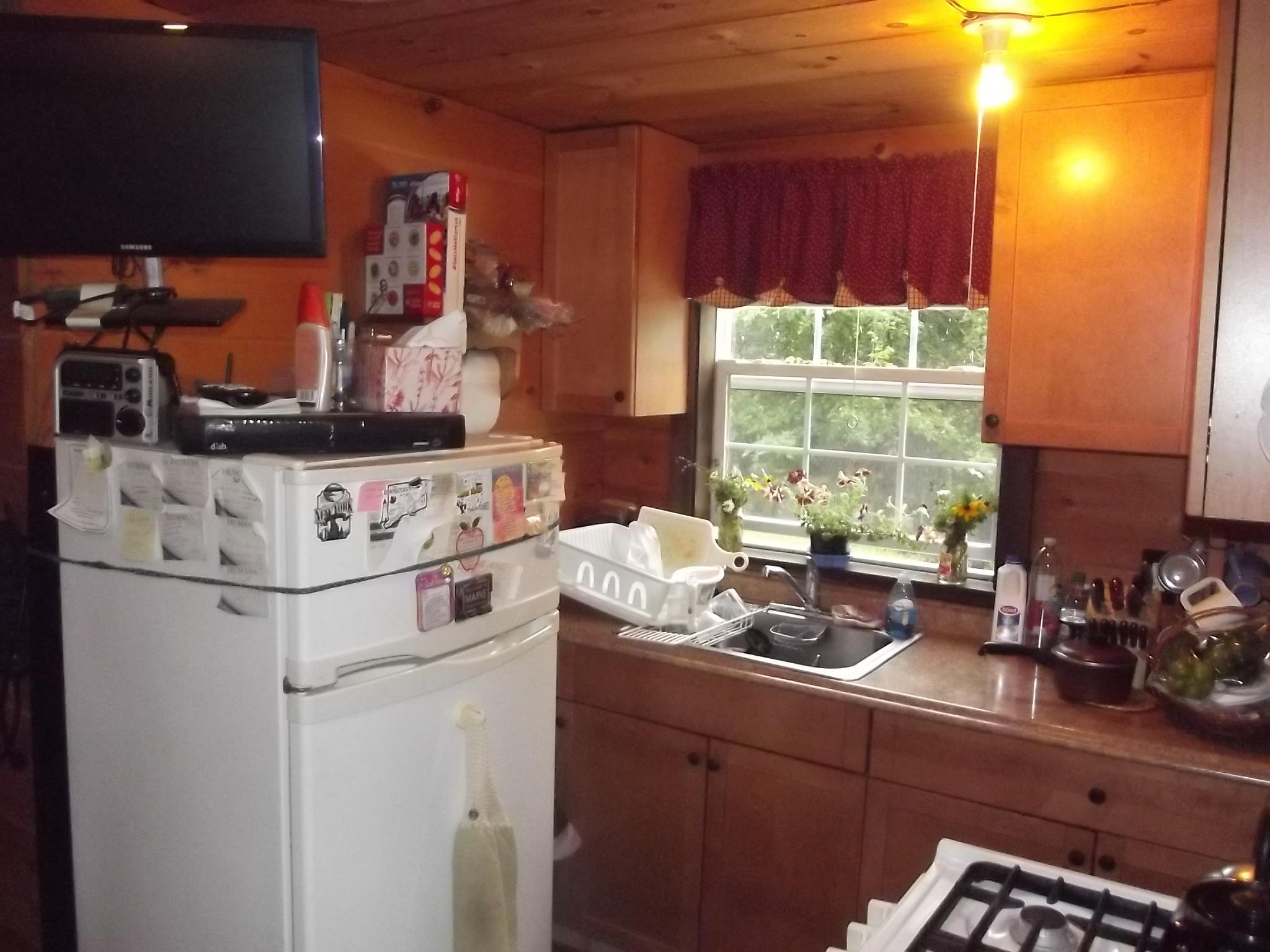 405 Mill Privilege Road Carroll Plt, ME 04487 - Photo 6 of 16 DSCF7471