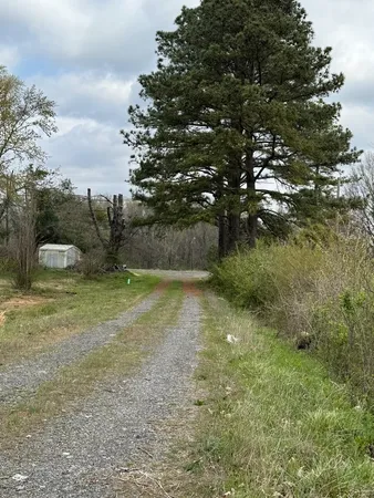 a view of a yard