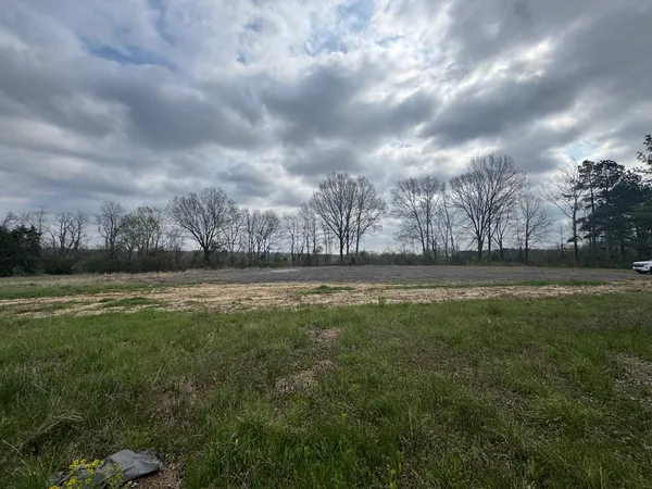 a view of a yard