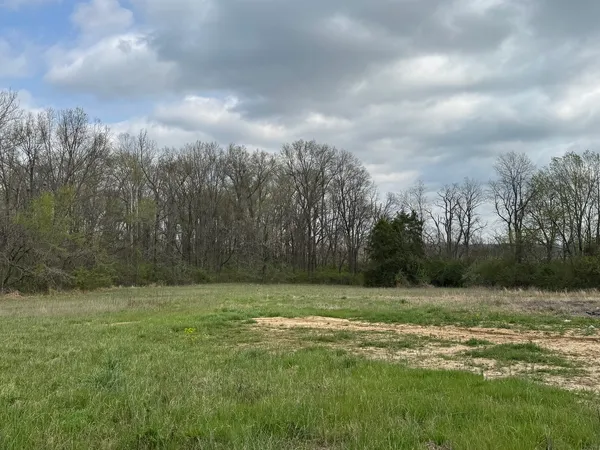 a view of a field with a yard
