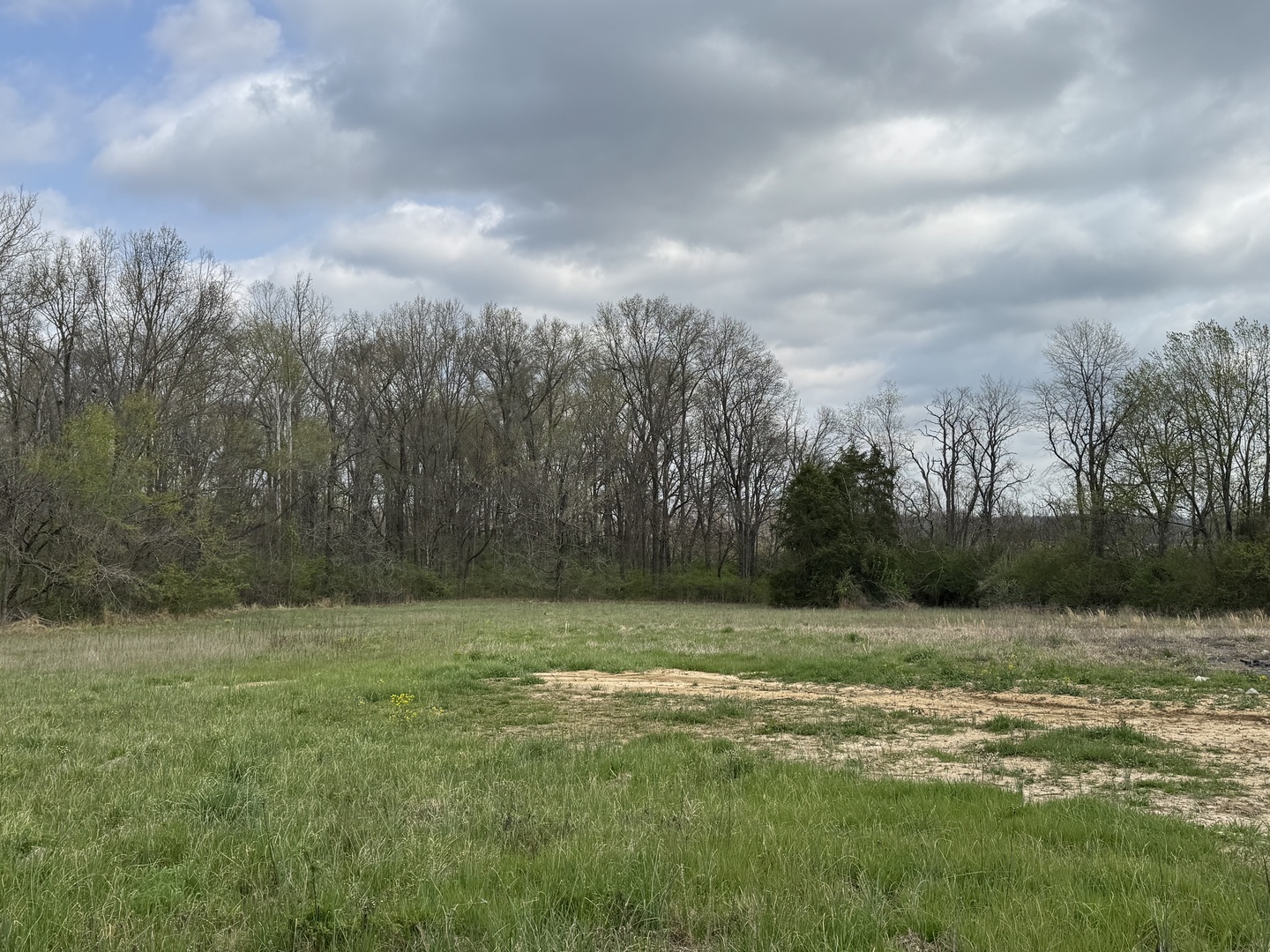 900 Old Rte 146 Loop Vienna, IL 62995 - Photo 4 of 6