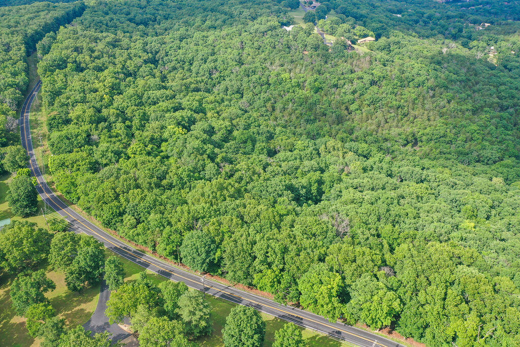 Tbd Tbd Hwy Dd Branson Reeds Spring, MO 65737 - Photo 7 of 11 Hwy DD, Branson West, MO