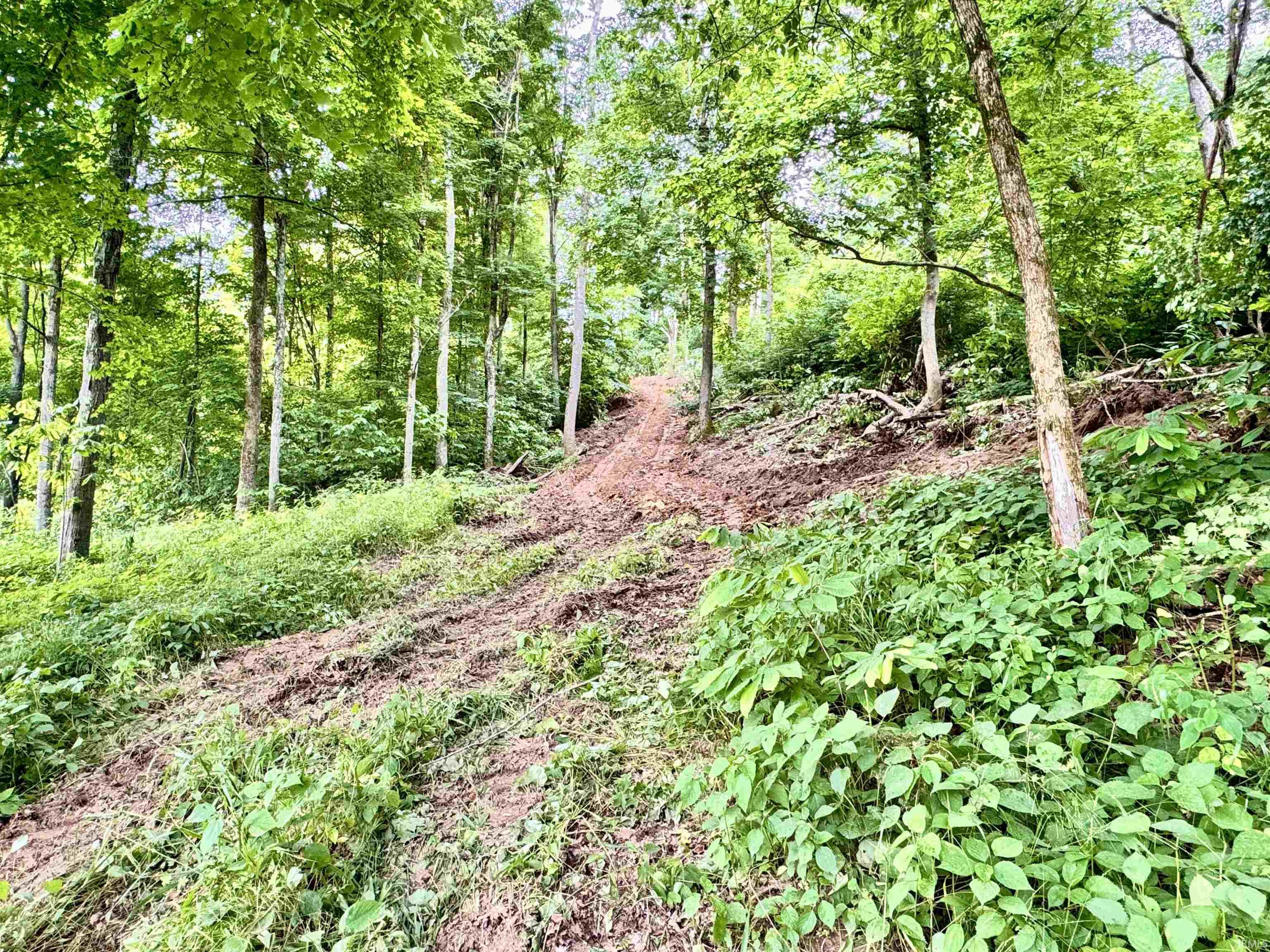 State Road Shoals, IN 47581 - Photo 18 of 25