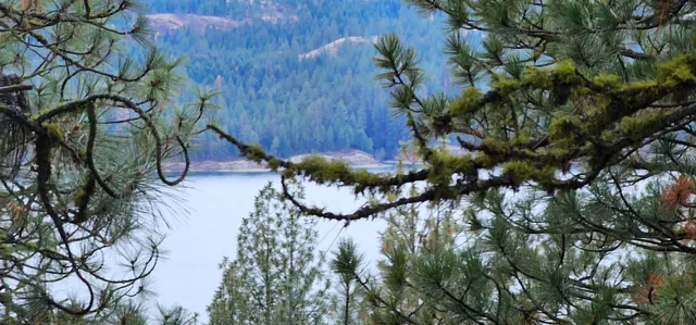 $275,000 | 34-xx Daisy Mine Road, Rice, WA 99167