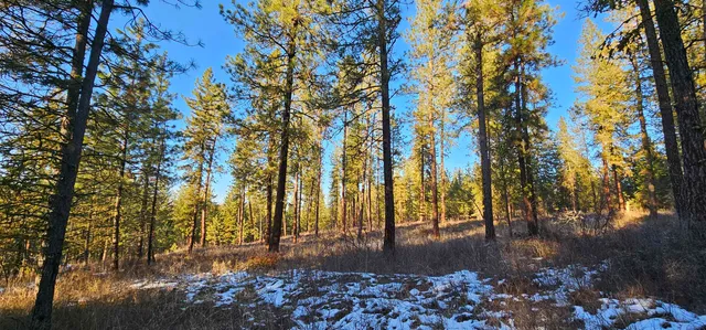 $275,000 | 34-xx Daisy Mine Road, Rice, WA 99167