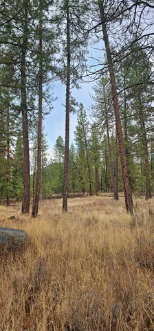 $275,000 | 34-xx Daisy Mine Road, Rice, WA 99167