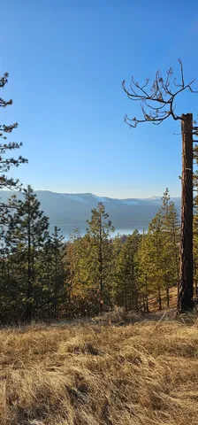 $275,000 | 34-xx Daisy Mine Road, Rice, WA 99167