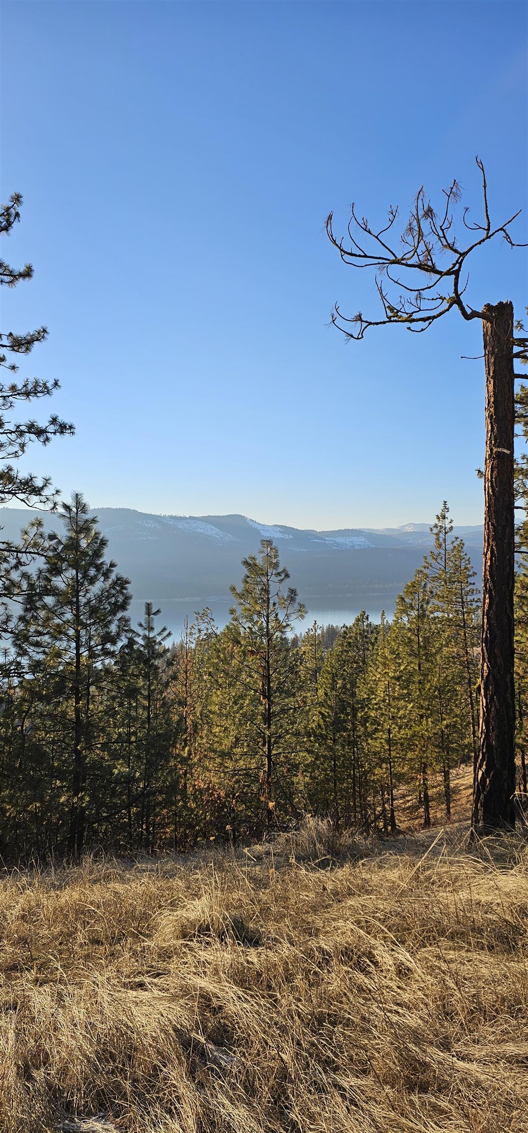 34-xx Daisy Mine Road Rice, WA 99167 - Photo 4 of 9