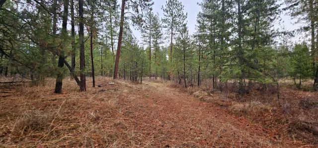 $275,000 | 34-xx Daisy Mine Road, Rice, WA 99167