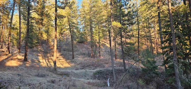 $275,000 | 34-xx Daisy Mine Road, Rice, WA 99167