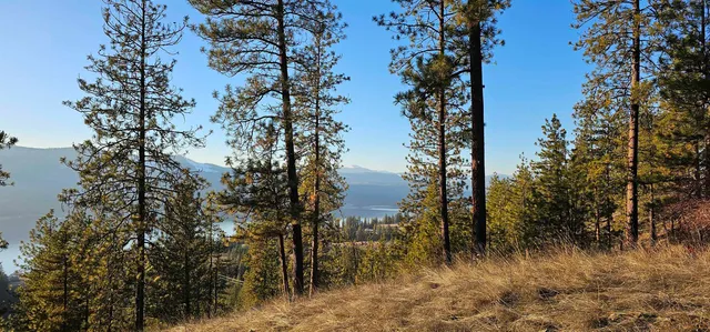 $275,000 | 34-xx Daisy Mine Road, Rice, WA 99167