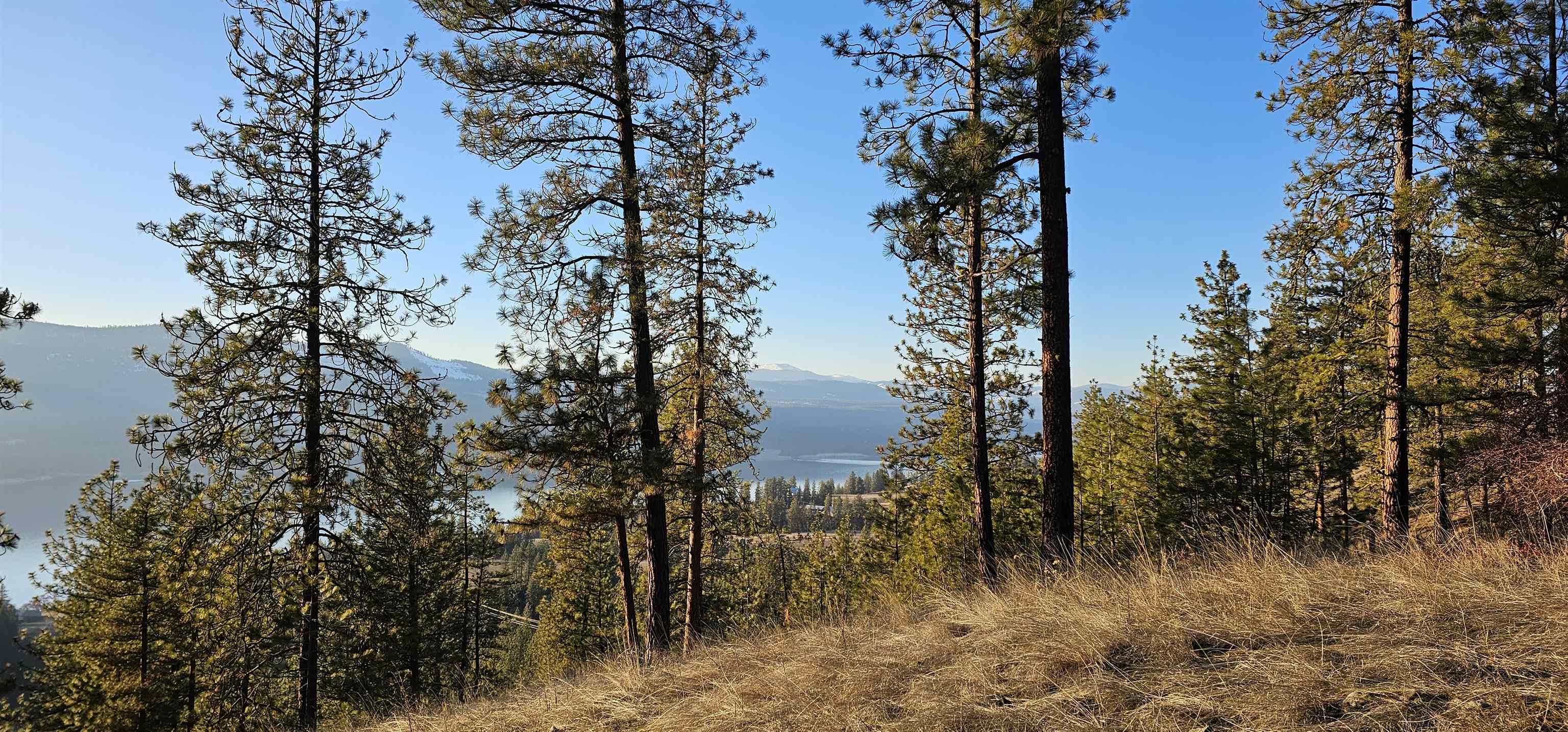 34-xx Daisy Mine Road Rice, WA 99167 - Photo 7 of 9