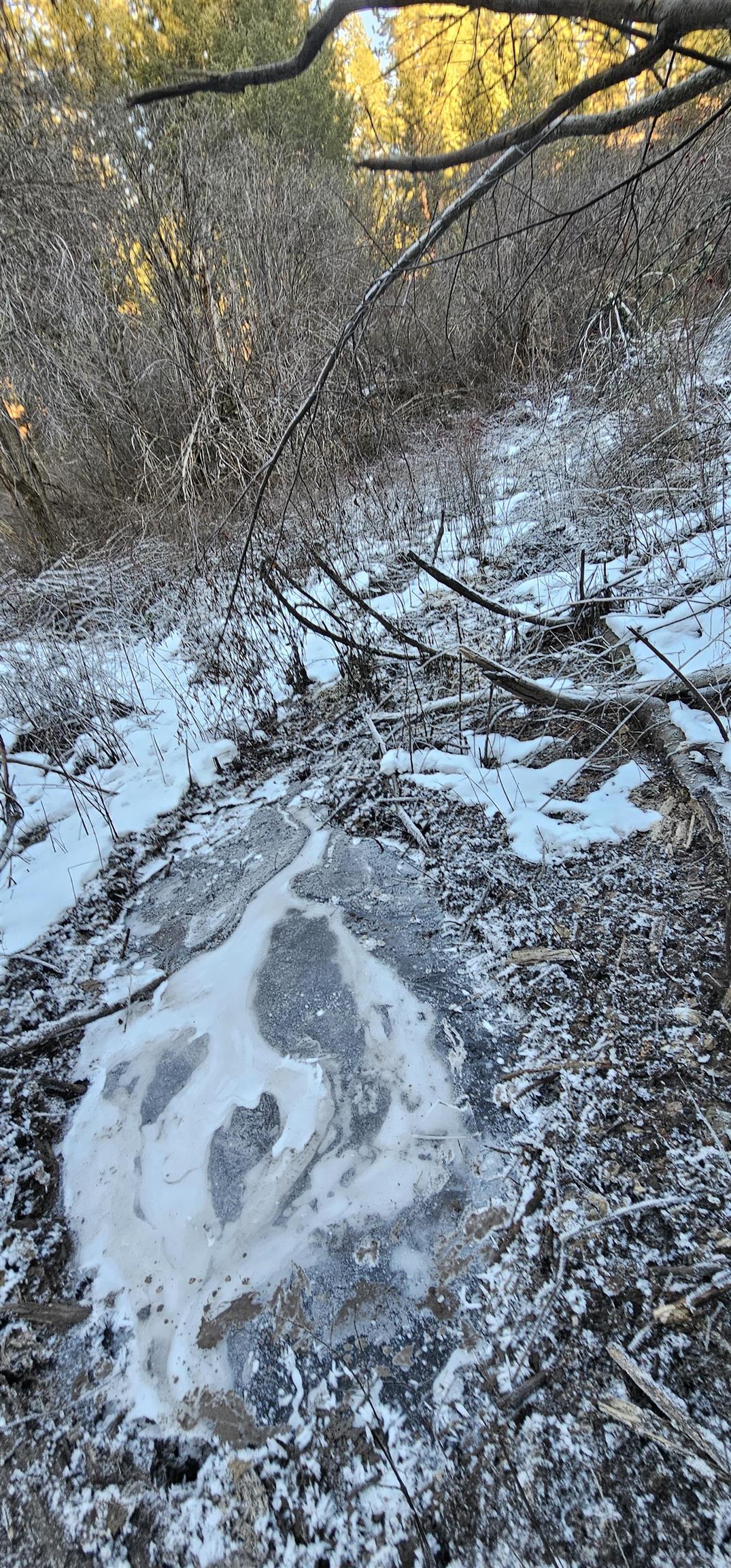 34-xx Daisy Mine Road Rice, WA 99167 - Photo 9 of 9