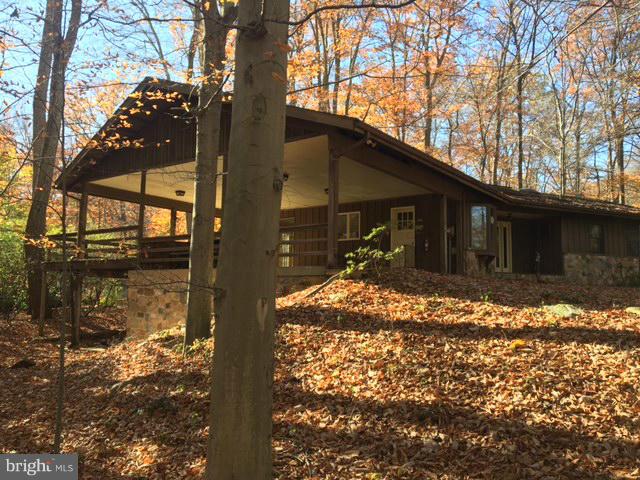 13728 Pryor Road Thurmont, MD 21788 - Photo 1 of 22 a backyard of a house with table and chairs under an large tree