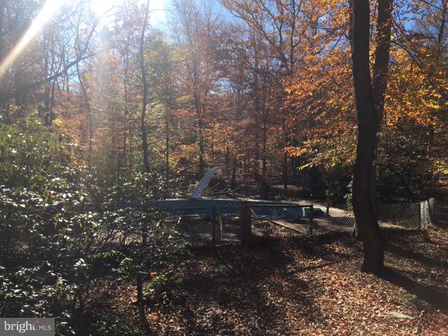 13728 Pryor Road Thurmont, MD 21788 - Photo 19 of 22 a view of a forest with trees