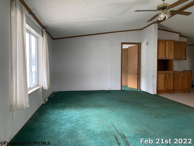 35 Punkin Center Road Fairview, WV 26570 - Photo 9 of 22 Gallery Image 9