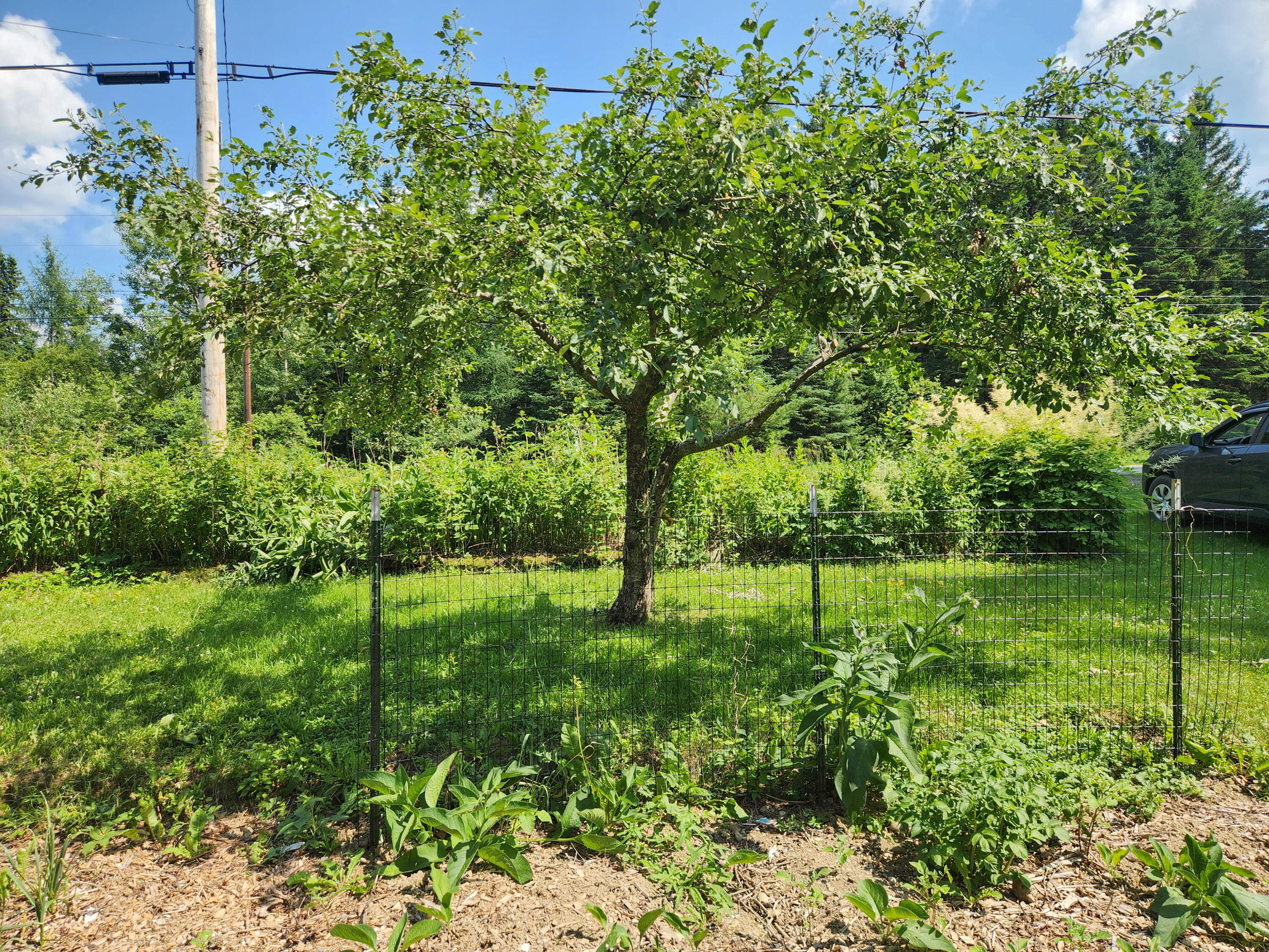 1387 Masardis Road Ashland, ME 04732 - Photo 56 of 61 1387 Masardis Road-21