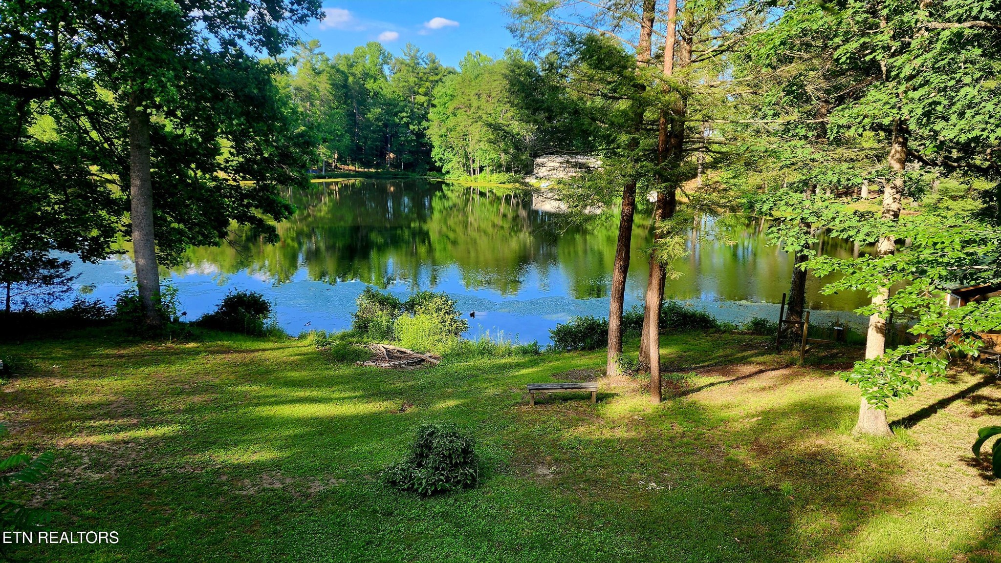 68 Boone Dock Road Jamestown, TN 38556 - Photo 3 of 58