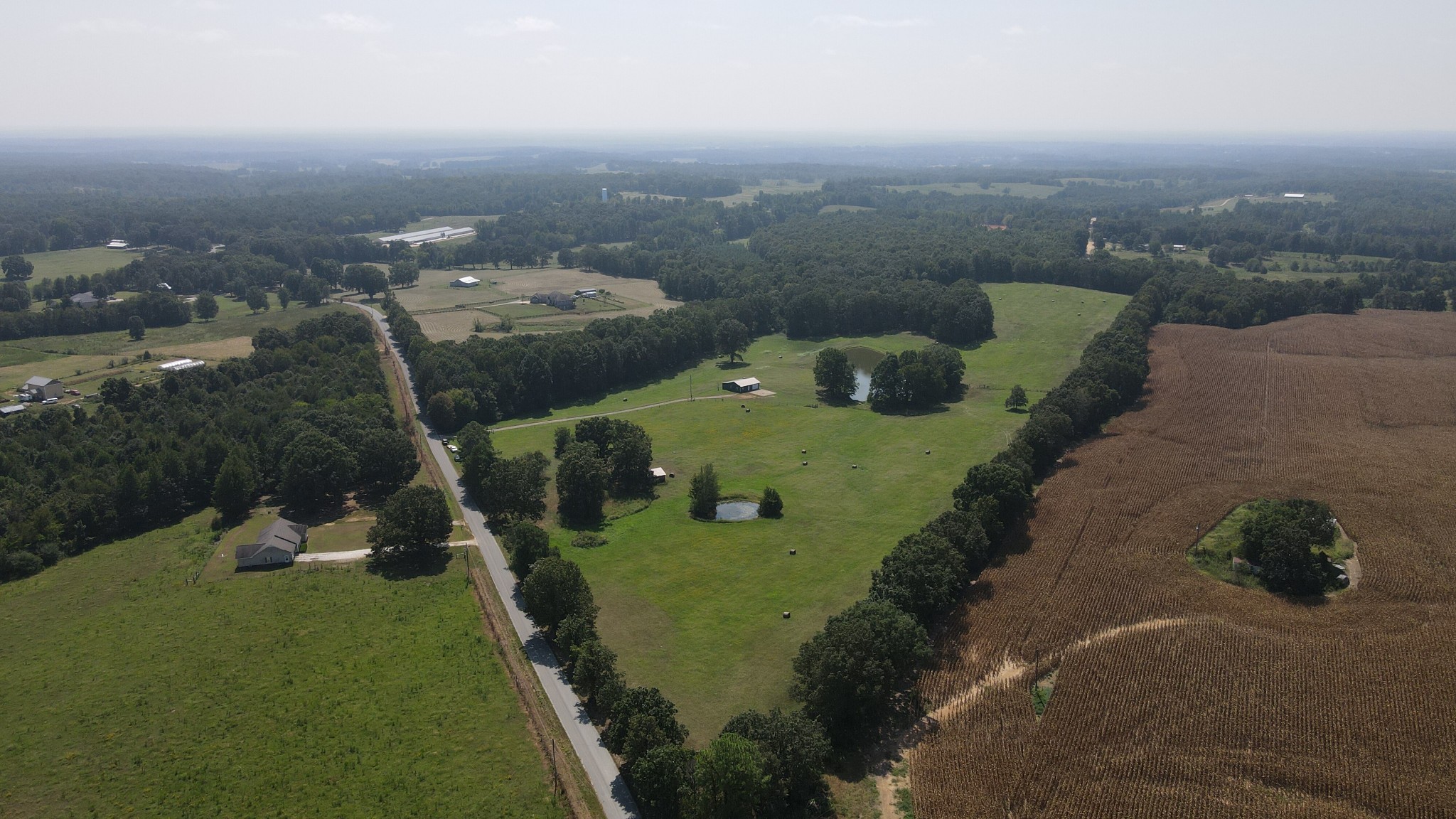 9585 May Branch Loop Cypress Inn, TN 38452 - Photo 4 of 61 Gallery Image 4