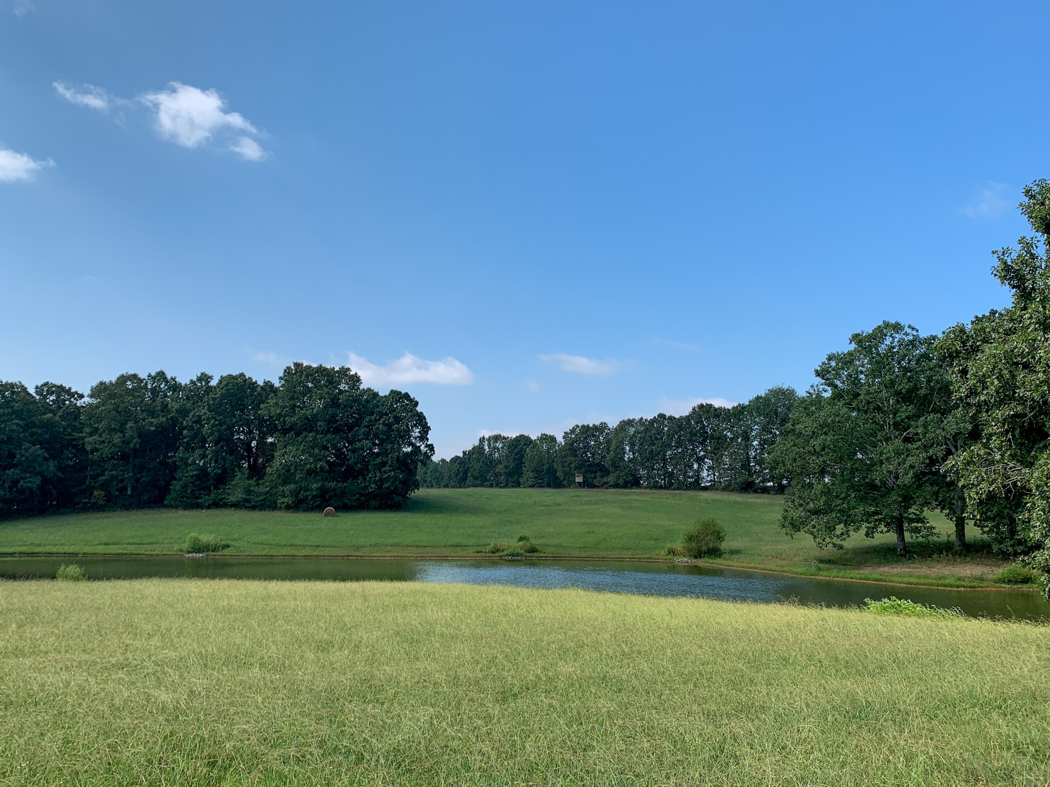 9585 May Branch Loop Cypress Inn, TN 38452 - Photo 8 of 61 Gallery Image 8