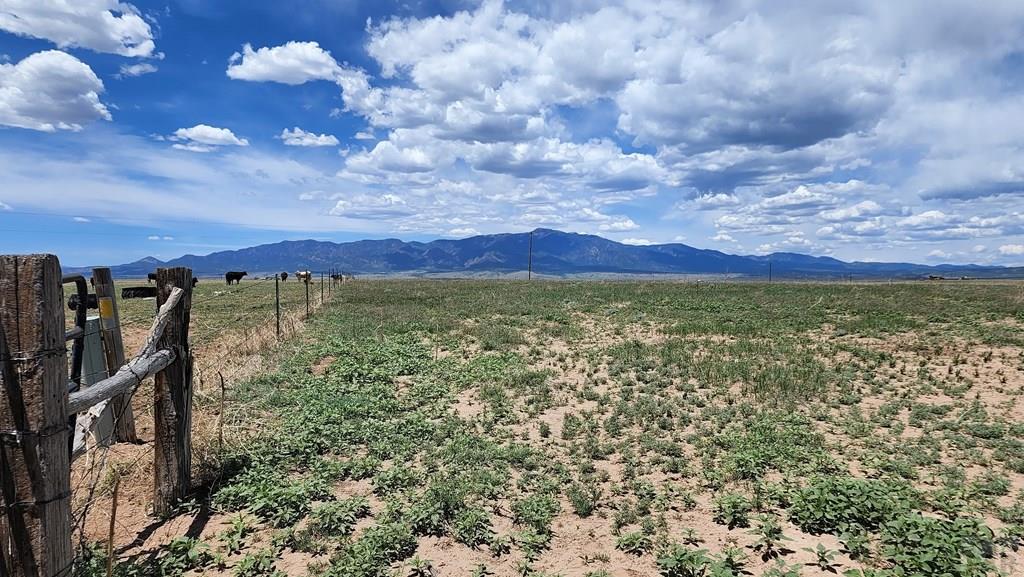 110 County Road 110 Rye, CO 81069 - Photo 29 of 37