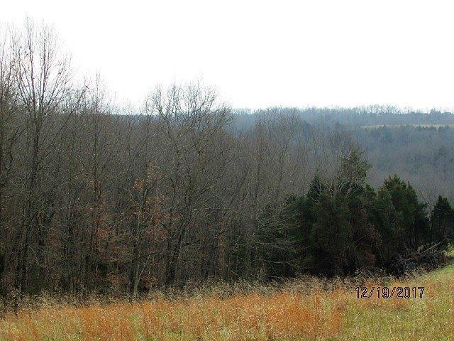 1 Ogden Ridge Road Mount Olivet, KY 41064 - Photo 2 of 12 Photo 2