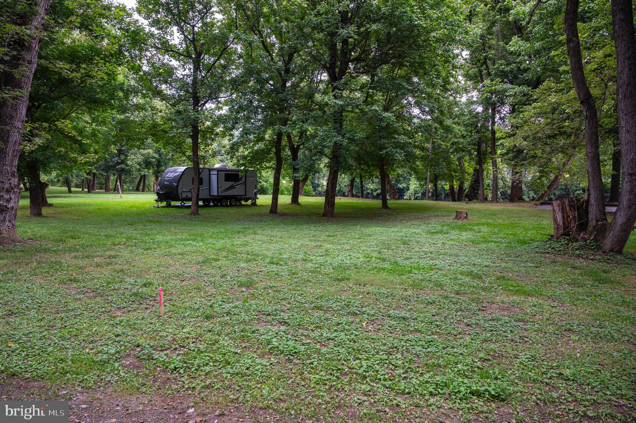 29 Burma Road Strasburg, VA 22657 - Photo 11 of 32 a view of a tree in a yard
