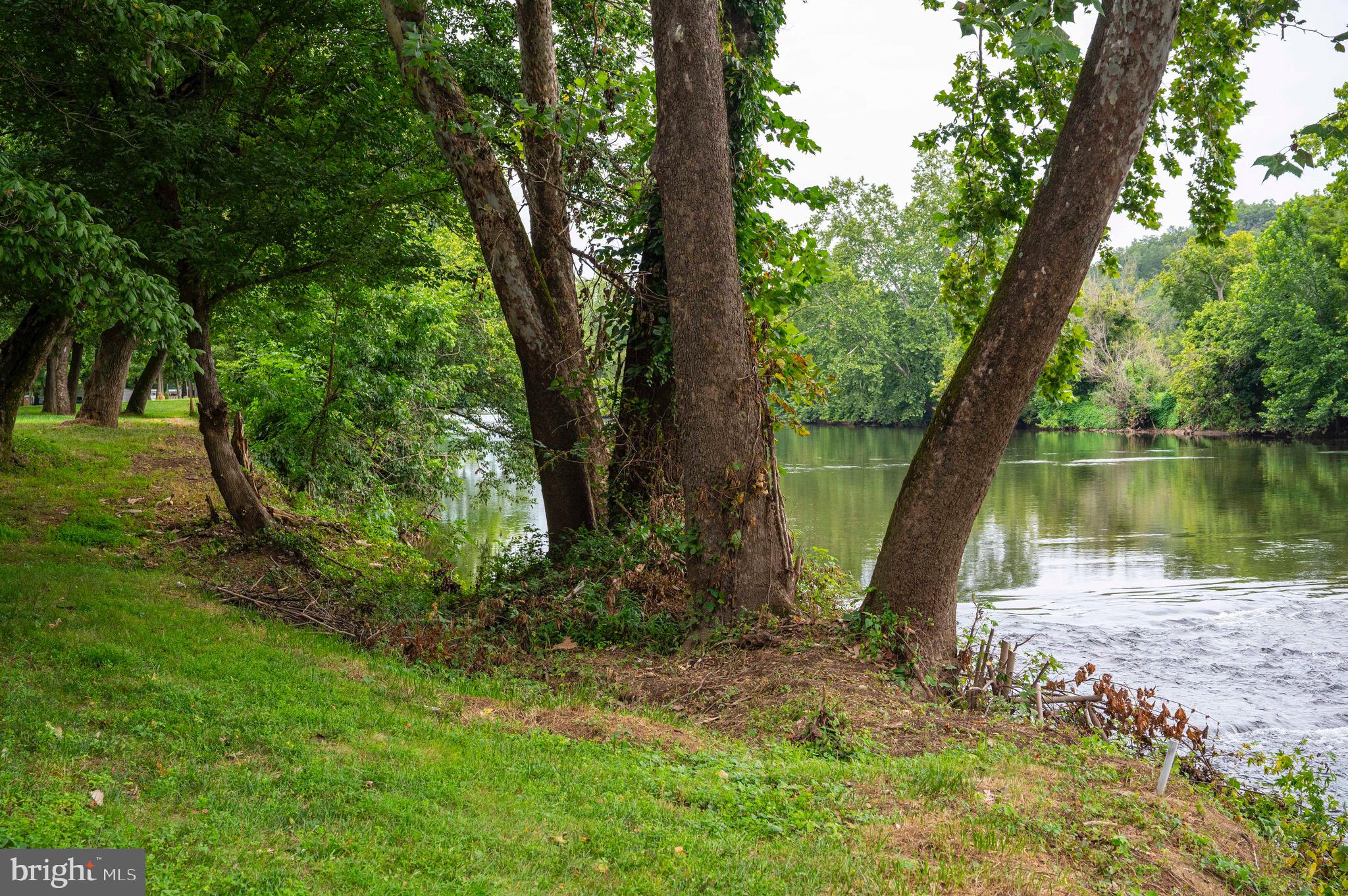 29 Burma Road Strasburg, VA 22657 - Photo 4 of 32 a view of a lake with a large trees