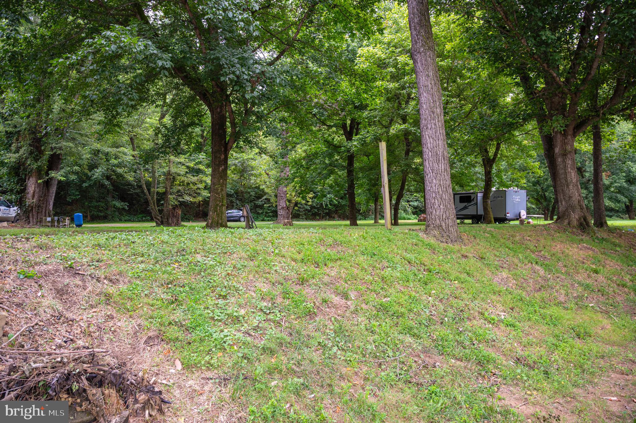 29 Burma Road Strasburg, VA 22657 - Photo 5 of 32 a view of green field with trees in the background