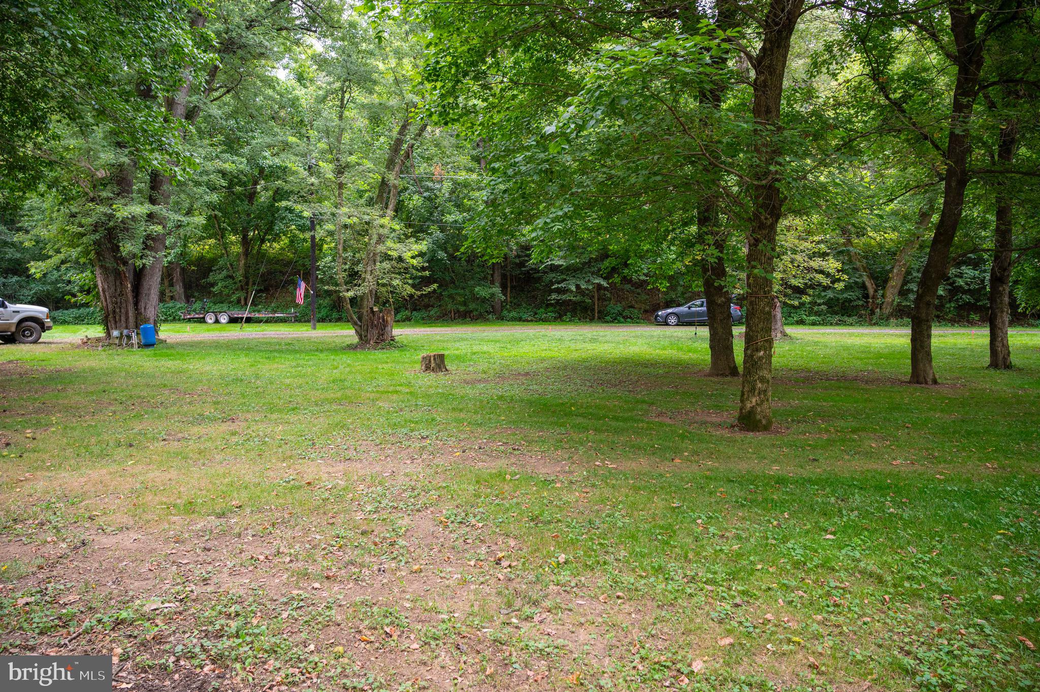 29 Burma Road Strasburg, VA 22657 - Photo 6 of 32 a view of a trees in a park