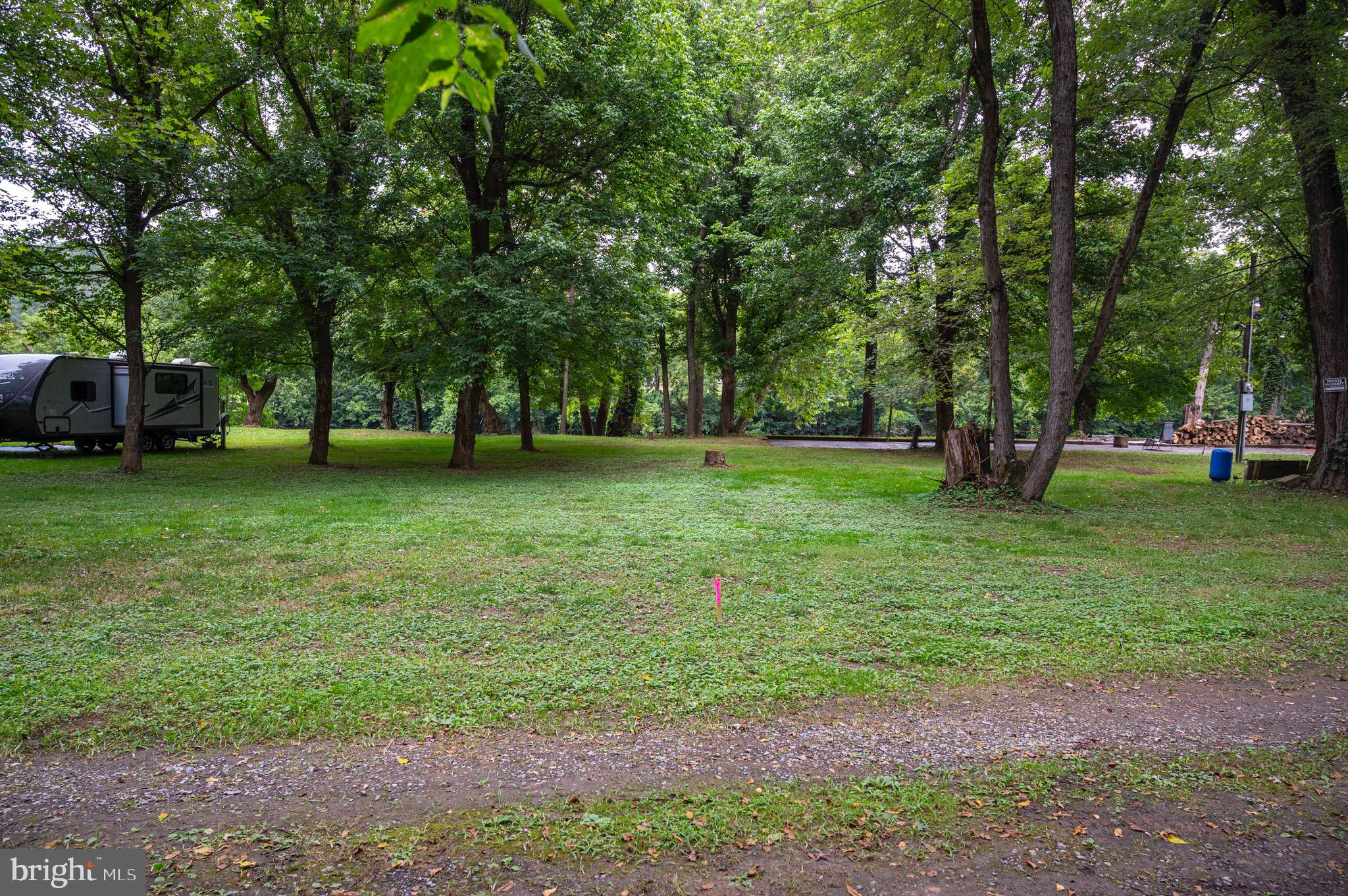29 Burma Road Strasburg, VA 22657 - Photo 7 of 32 a view of a trees in a park
