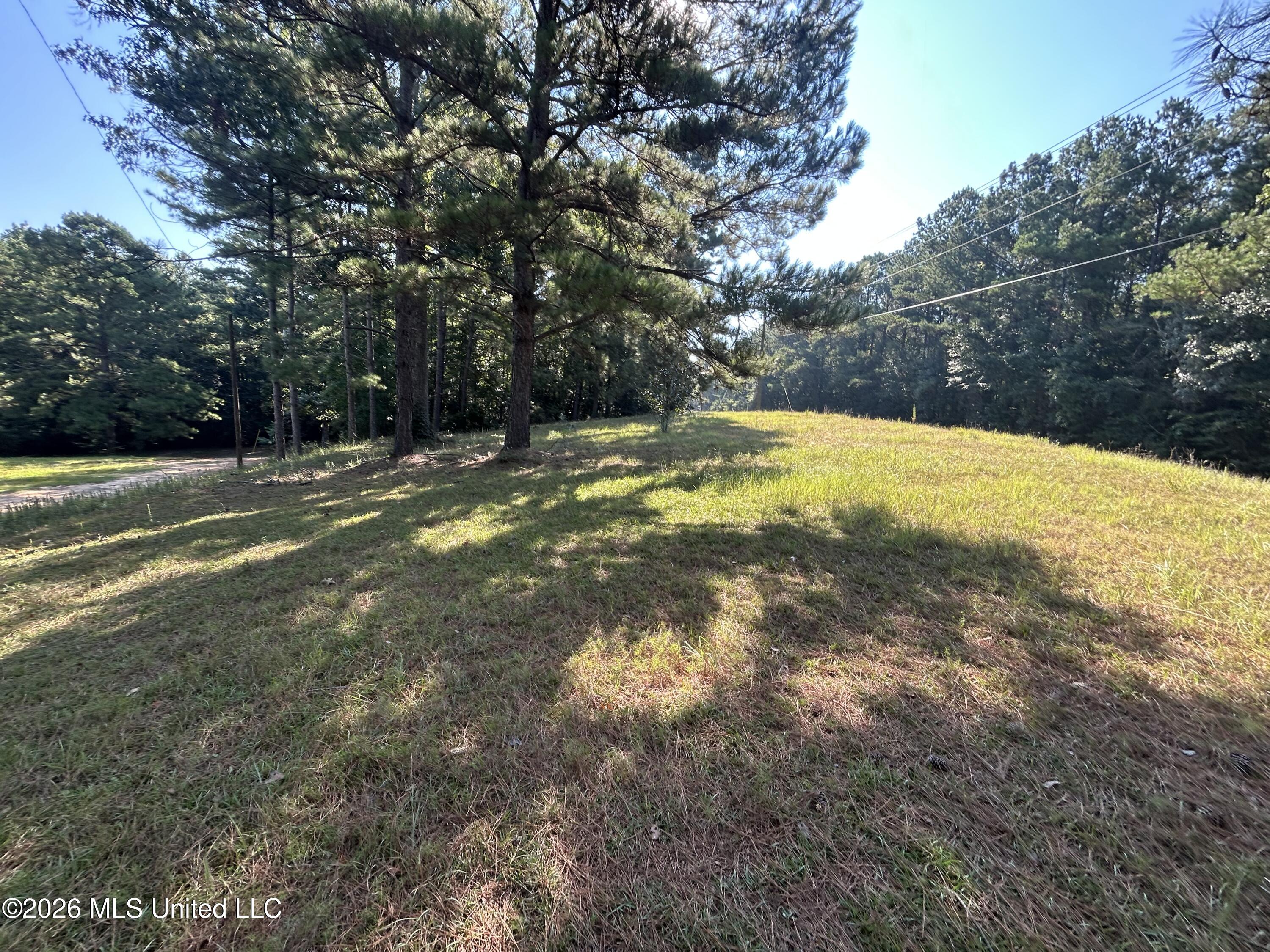 724 Mt Zion Road Mount Olive, MS 39119 - Photo 31 of 37 IMG_2603