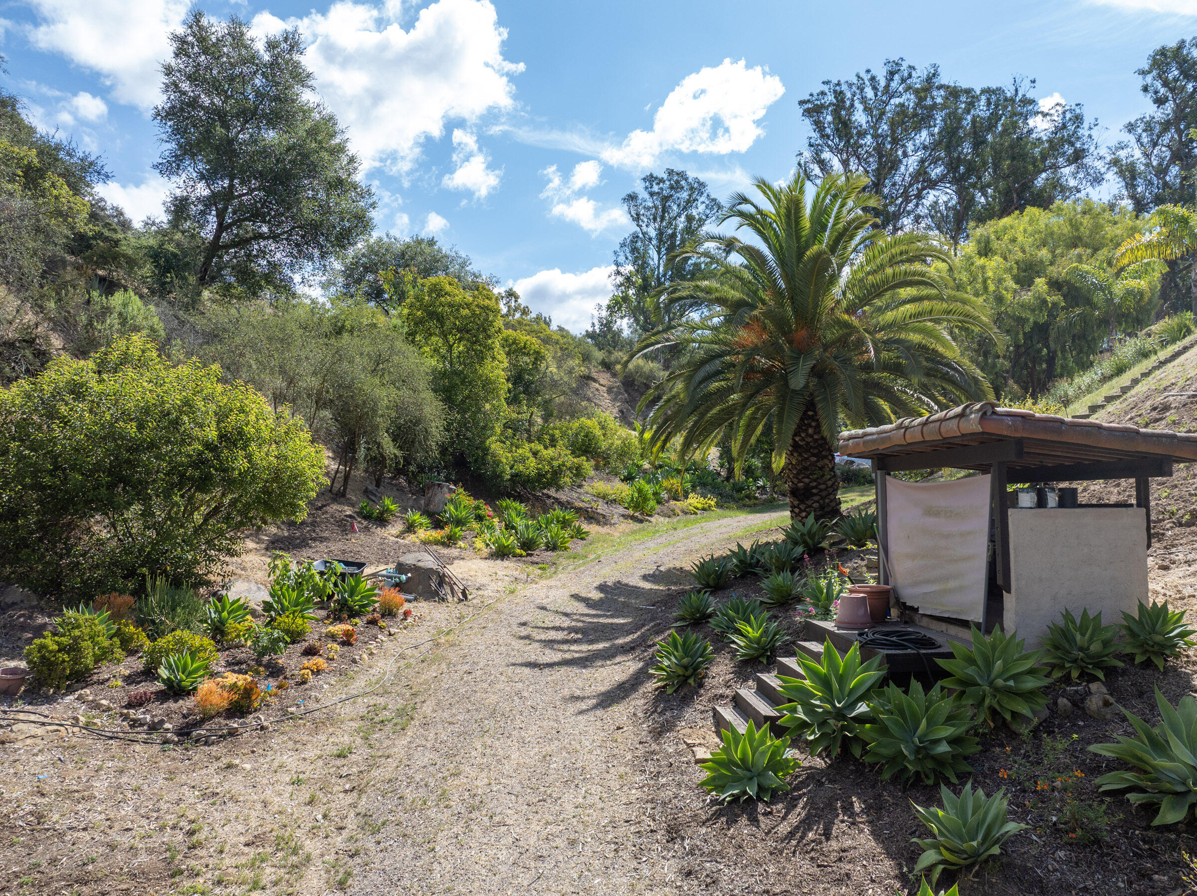 655 Coyote Road Santa Barbara, CA 93108 - Photo 34 of 38 655 Coyote Rd_0018