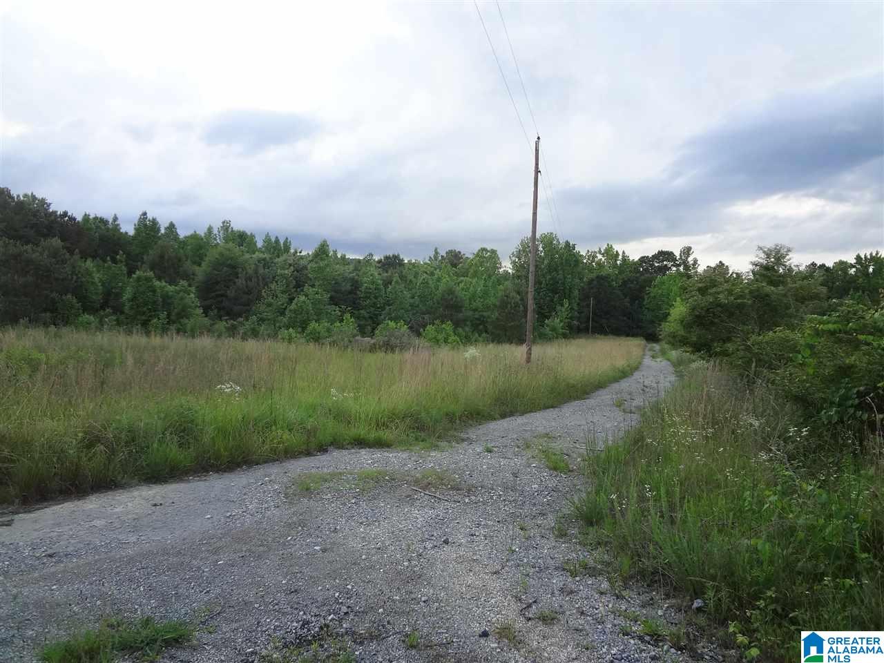 225 Pleasant Hills Road Odenville, AL 35120 - Photo 26 of 42