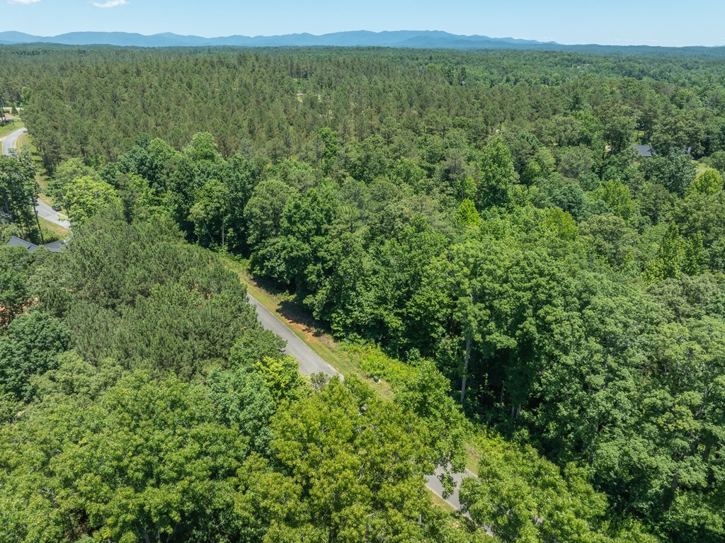 0 High River Road Ellijay, GA 30540 - Photo 7 of 10 Gallery Image 7