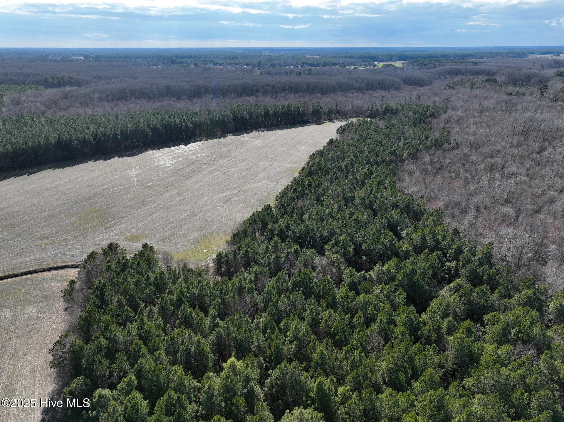 0 Daniels Road Corapeake, NC 27926 - Photo 45 of 46 5