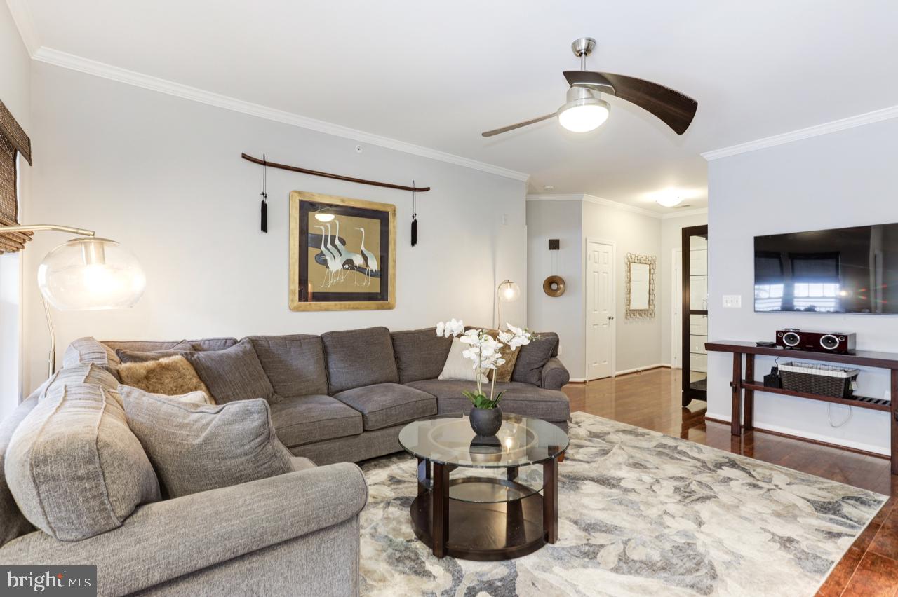 1515 North Point Drive, Unit 303 Reston, VA 20194 - Photo 6 of 26 Living Room - Ceiling Fan