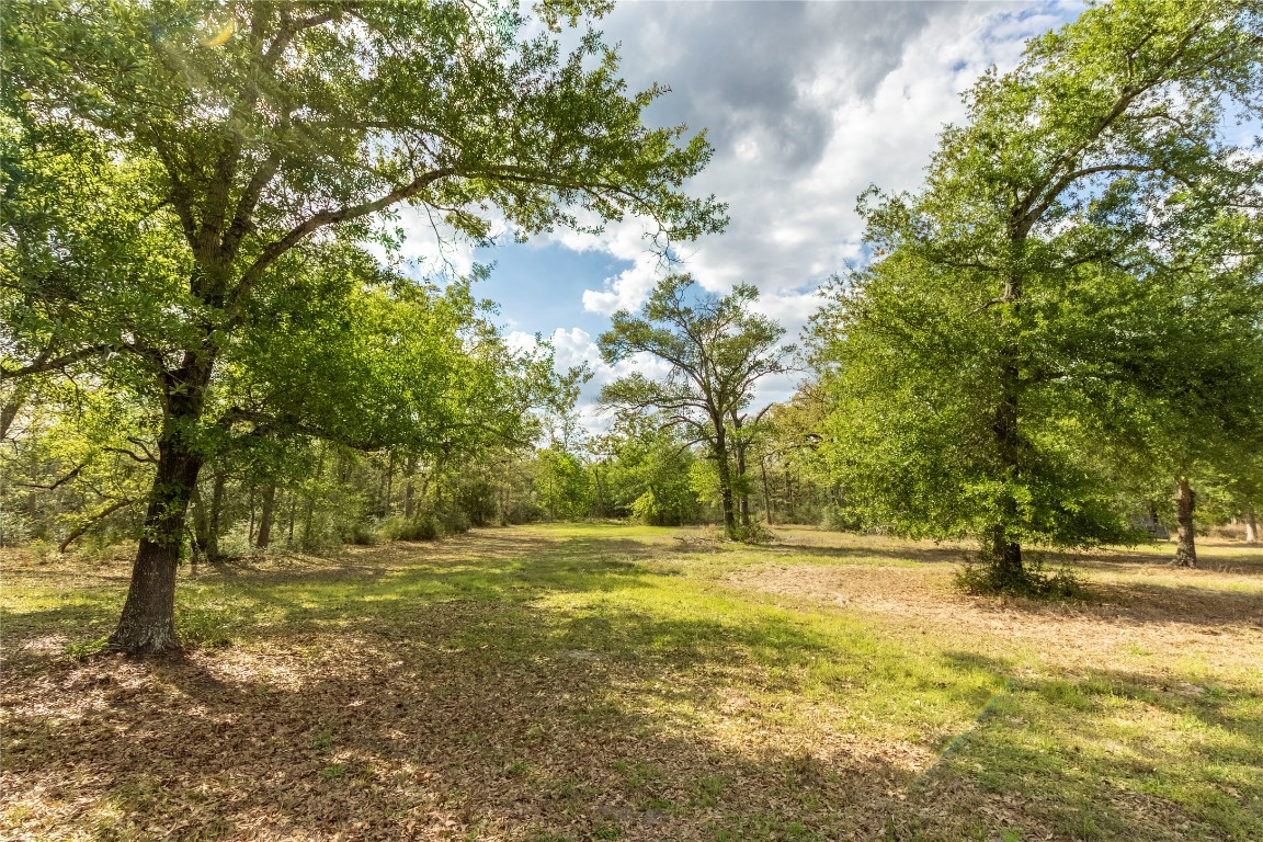 636 Deer Run Road Bellville, TX 77418 - Photo 18 of 23 a view of outdoor space with garden and trees