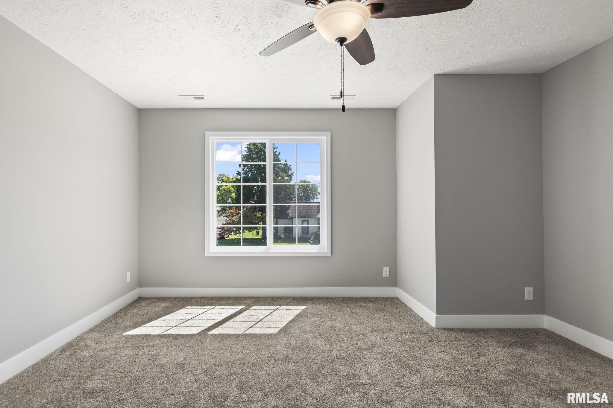 397 West Main Street Williamsville, IL 62693 - Photo 18 of 33