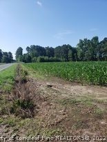 415 Atkinson Road Orrum, NC 28369 - Photo 12 of 17 a view of a field with trees in background