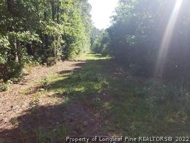 415 Atkinson Road Orrum, NC 28369 - Photo 15 of 17 a view of a yard with a tree