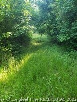 415 Atkinson Road Orrum, NC 28369 - Photo 17 of 17 a view of a lush green space