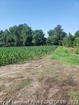 415 Atkinson Road Orrum, NC 28369 - Photo 4 of 17 a view of a yard with a tree