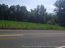 415 Atkinson Road Orrum, NC 28369 - Photo 5 of 17 a view of a garden